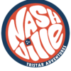 Red white and blue Retro Nashville Decal-11